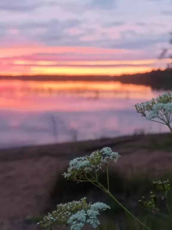 Коттедж Дом с видом на озеро — Крошнозеро
