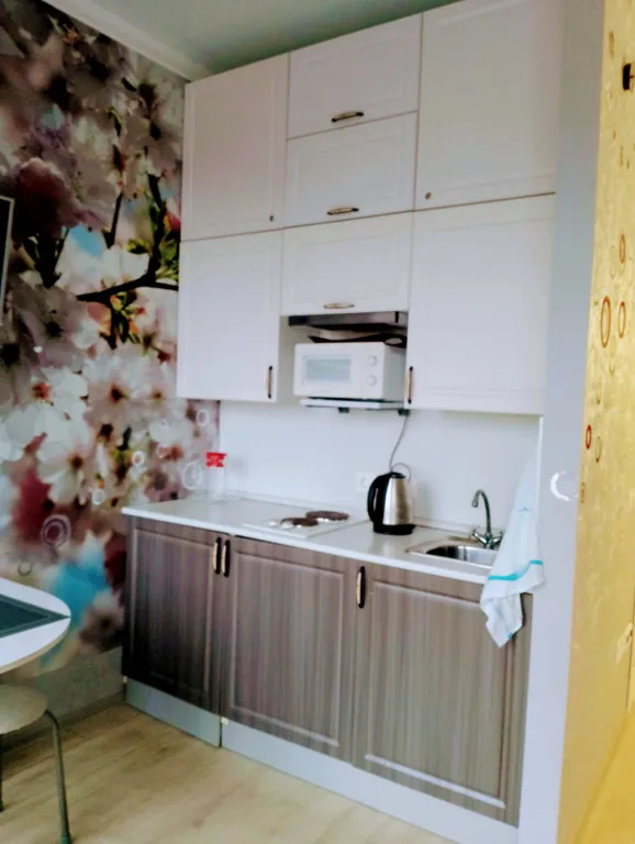 Квартира 1-комнатная Квартира — Адлер