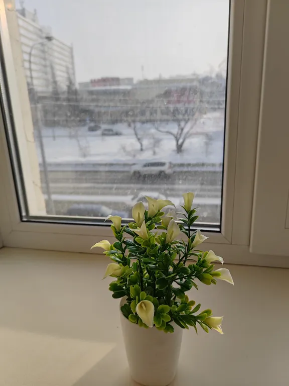 Апартаменты люкс у железнодорожного вокзала Барнаул