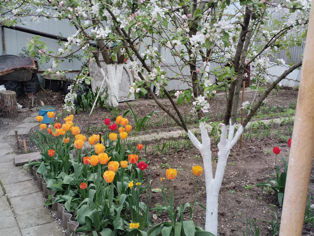 Отдельный дом