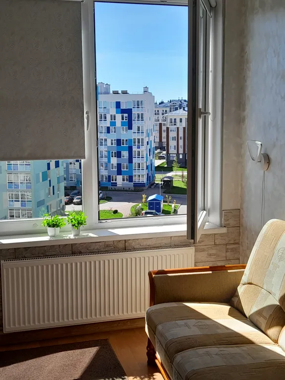 Квартира Уютная квартира недалеко от моря — Светлогорск