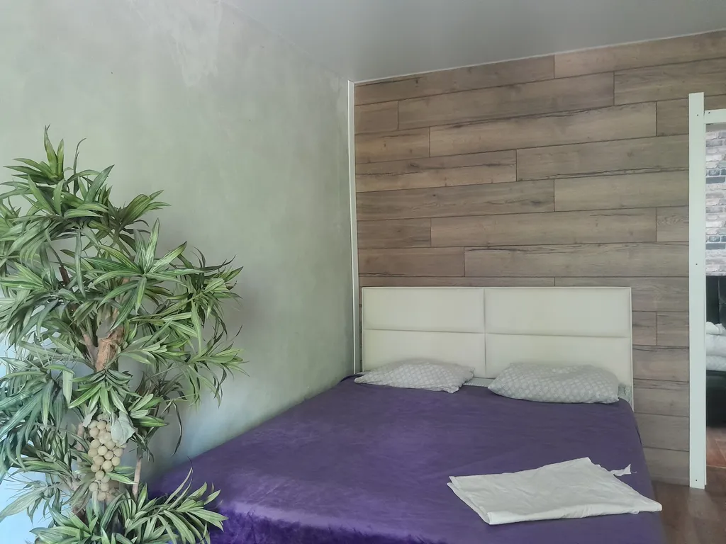 Большая квартира в центре