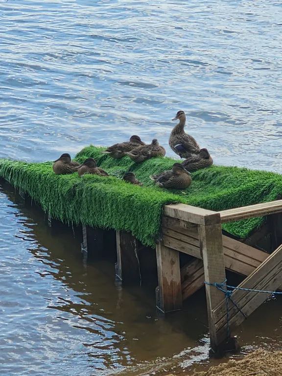 Уютная евроквартира