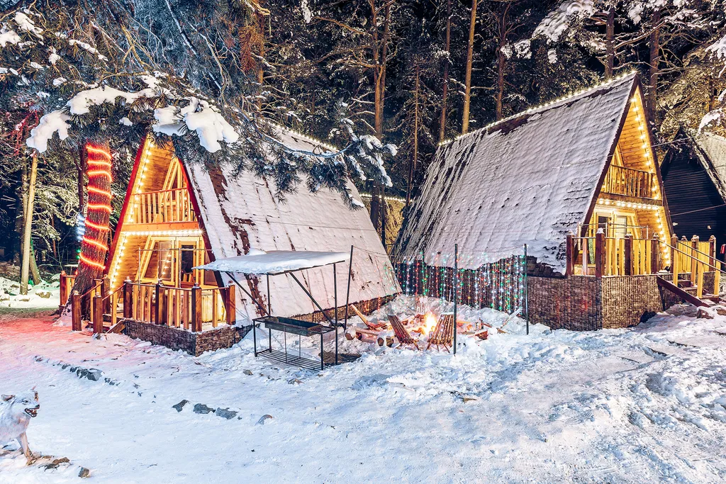 Просторный коттедж в лесу