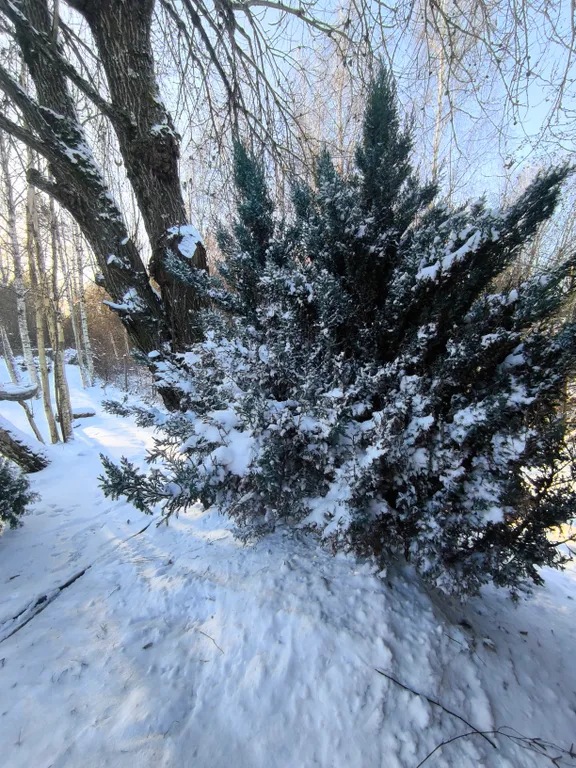 Abramovich House - Большой коттедж с видом на пруд и лес