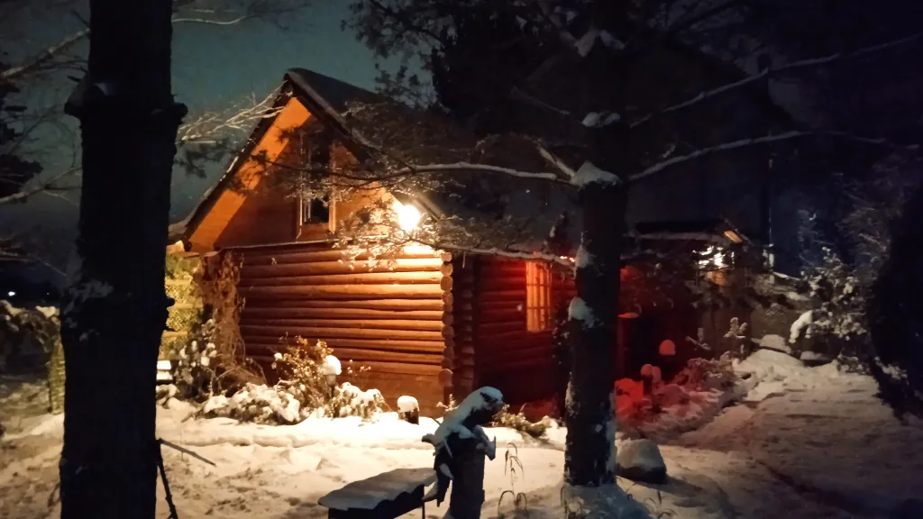 Охотничий дом с медведем на Ладоге