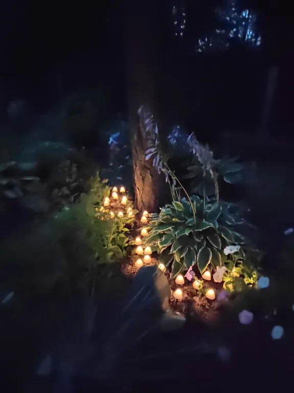 Дом у озера