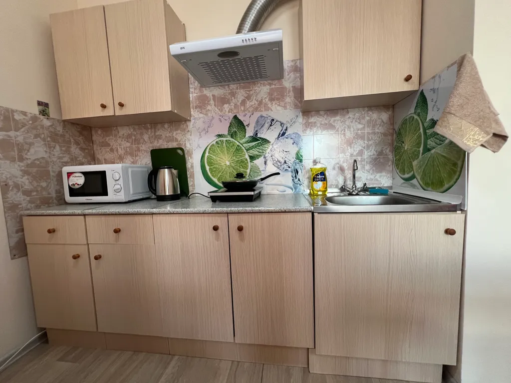 Студия с шикарным видом на лес