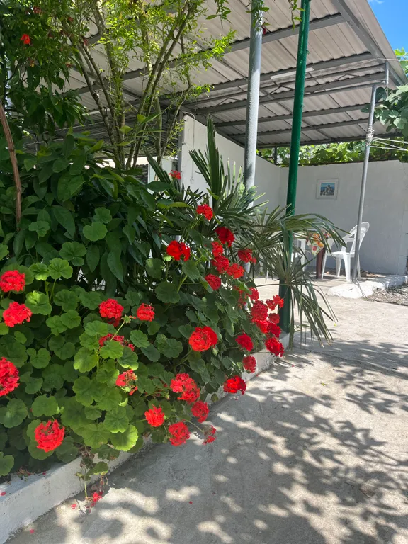 Квартира Комната — Гагра