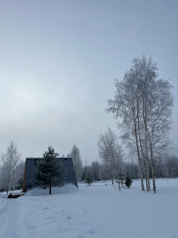 Современный а-фрейм