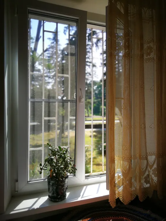 Квартира Апартаменты на Турбазе — Сухум