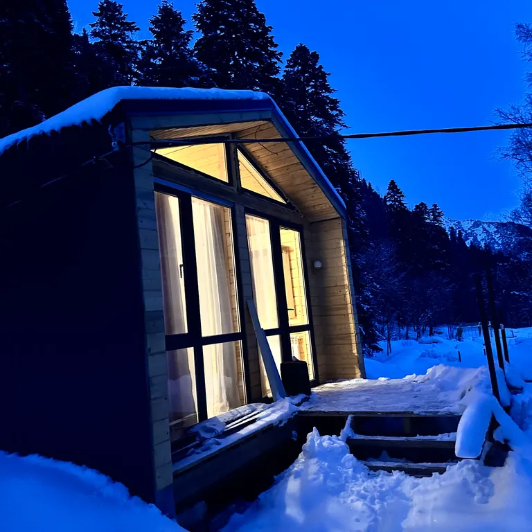 Домик в лесу с панорамными окнами