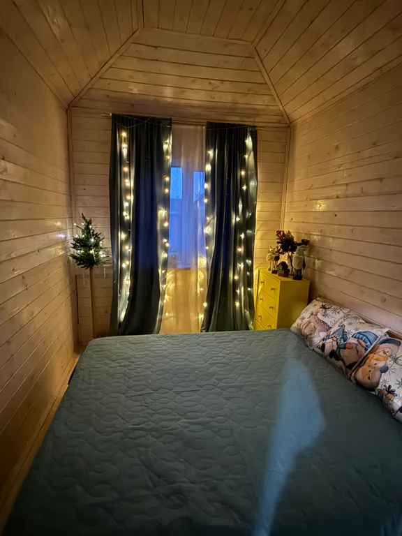 Домик рядом с Невой