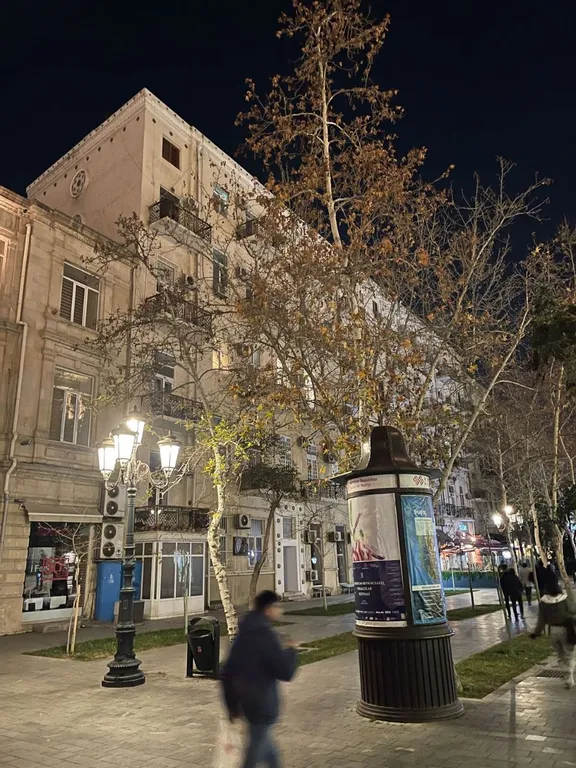 Квартира Soulful home — аренда посуточно в Баку