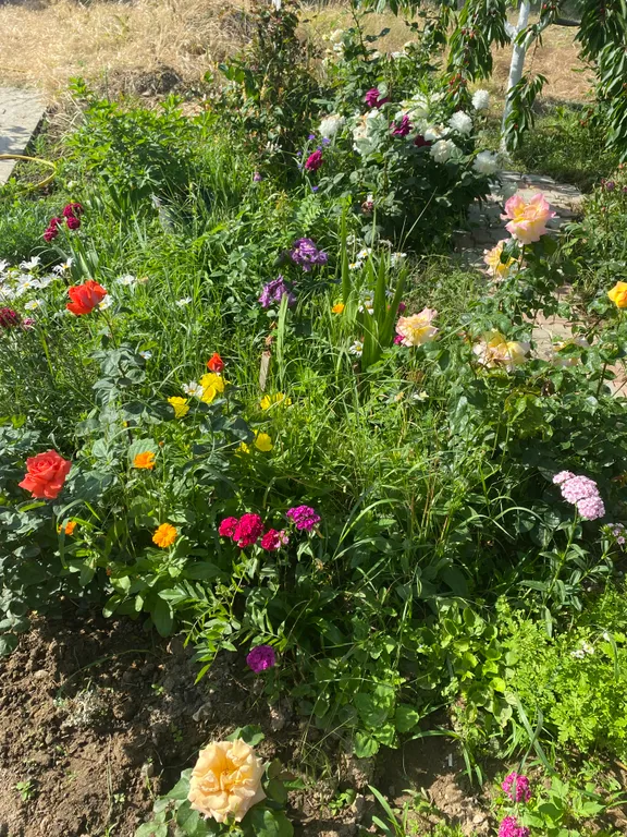 Коттедж 1-комнатный Дом — Избербаш