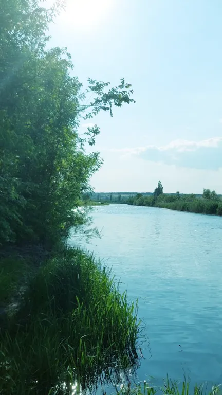 Коттедж из сруба с баней на дровах