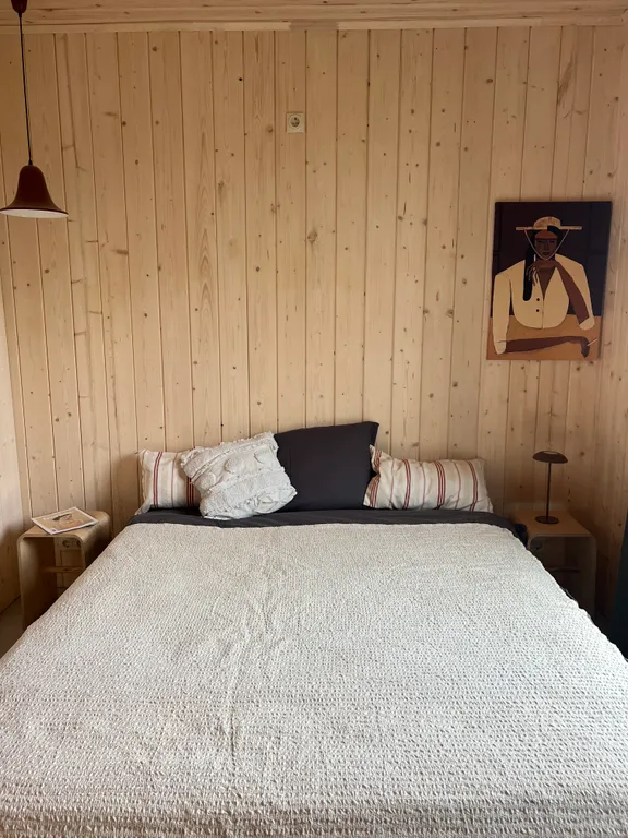 Уютный стильный новый дом с баней в окружении берёзовой рощи