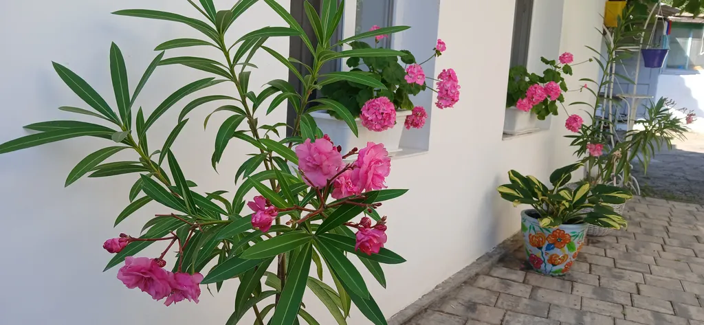 Домик в центре