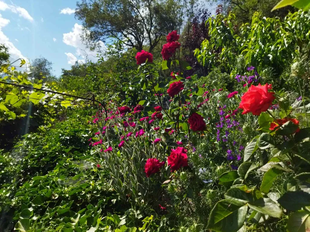 Коттедж Дом в Красном Раю — Изобильное