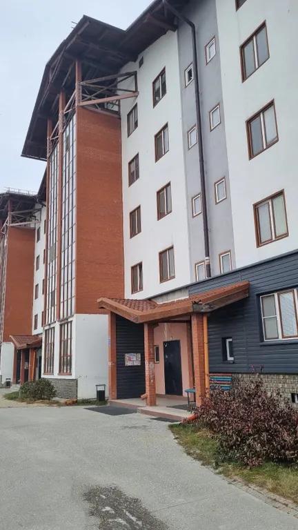 Уютная однокомнатная квартира около аэропорта Толмачево