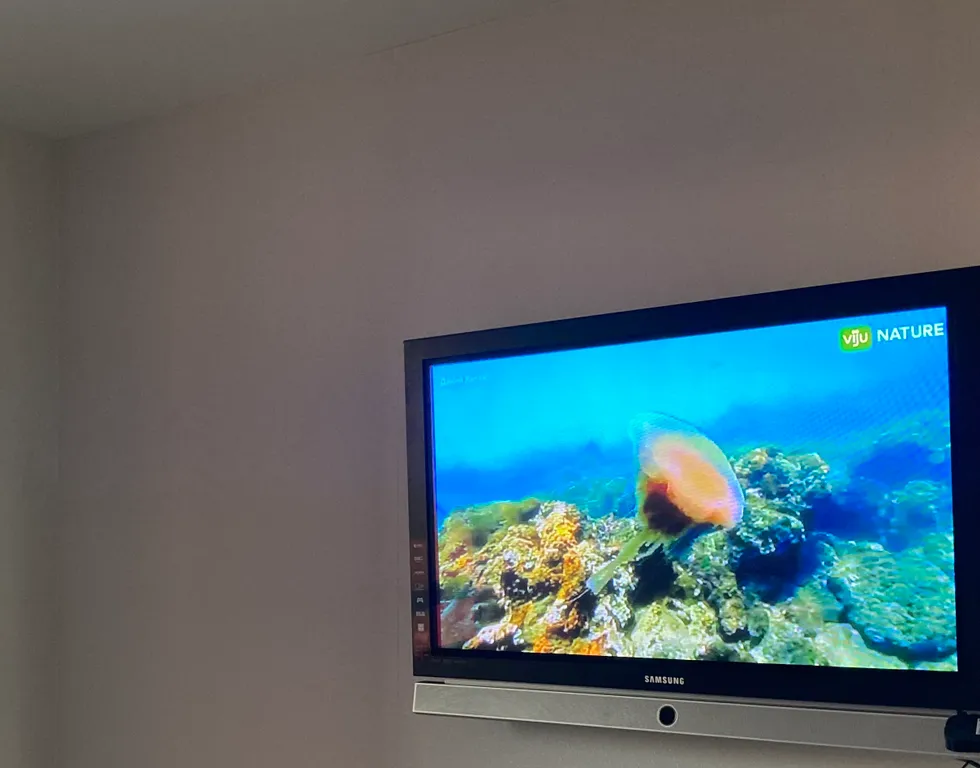 Студия В центре города