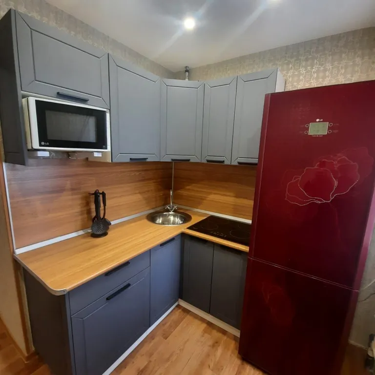 Уютная квартира в центре города возле Театра Горького