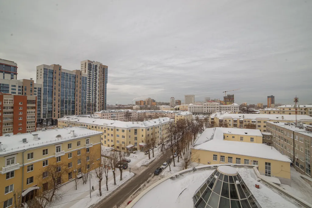 Фламинго и степь