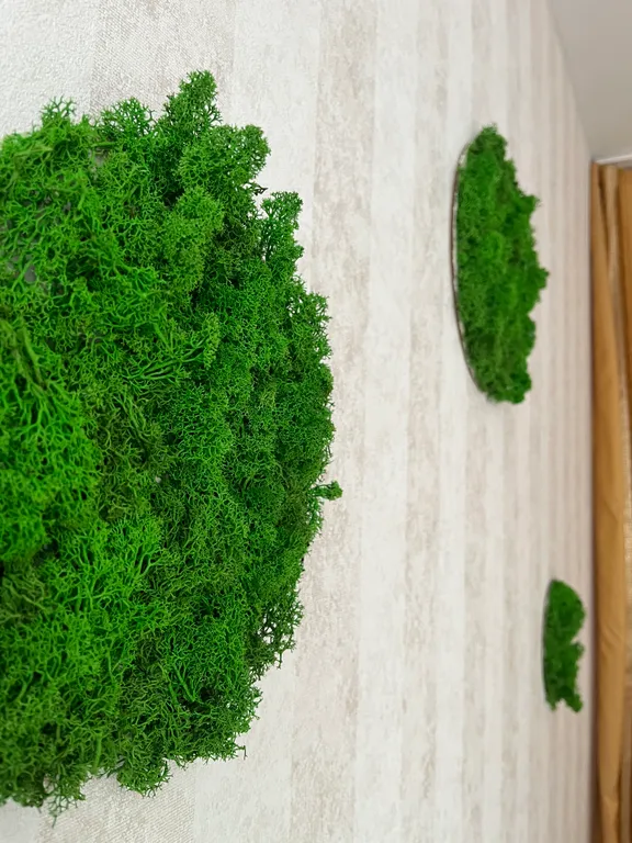 Panoramic Green House