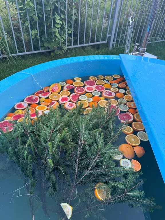 Коттедж Барнхаус с баней, бильярдом и видом на лес — Истра