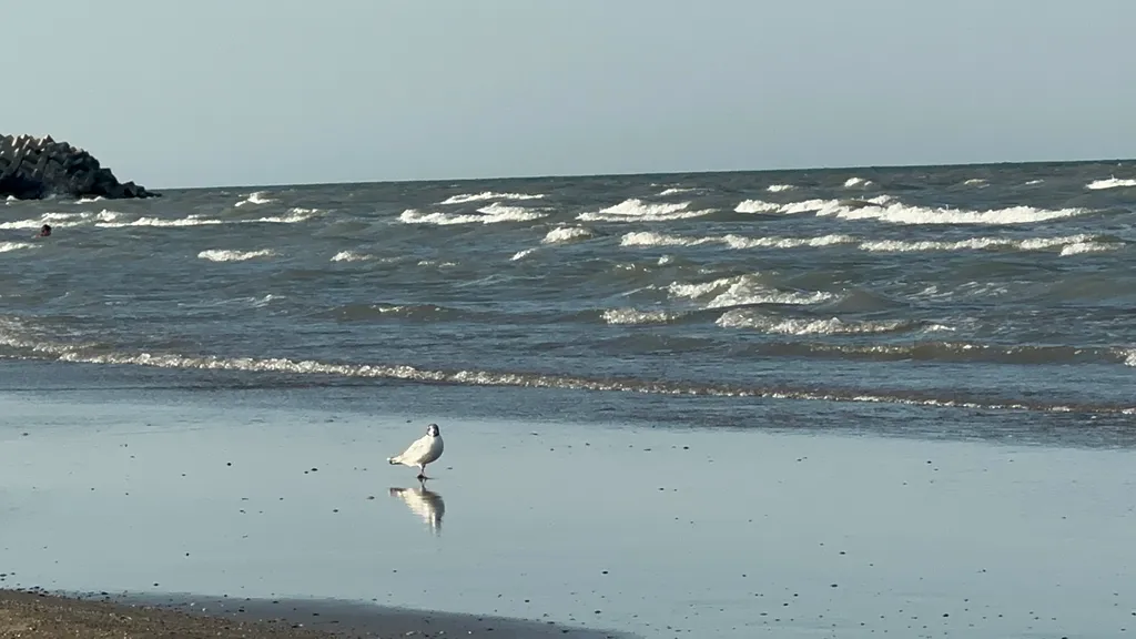 Квартира Уютная квартира у моря — Каспийск