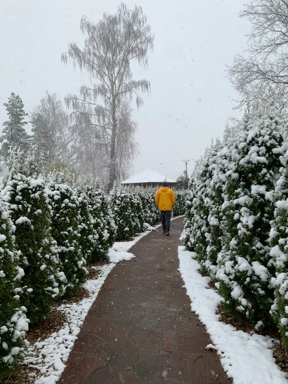 Дом у пруда