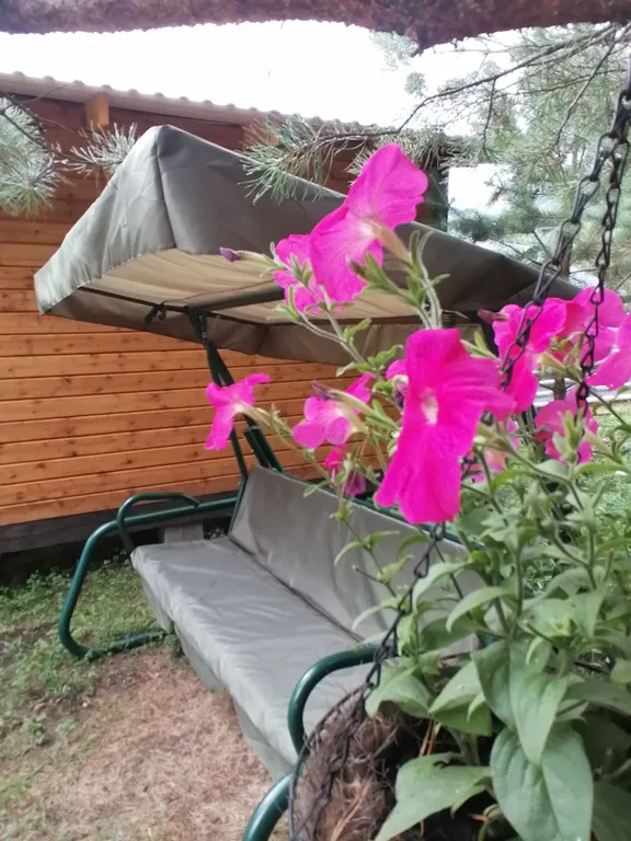 Уютный дом с видом на горы