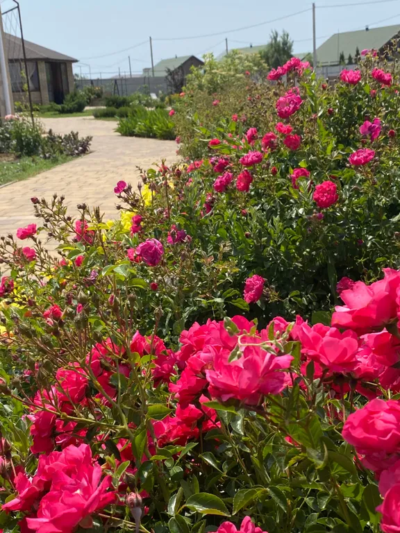 Квартира Комната — Витино