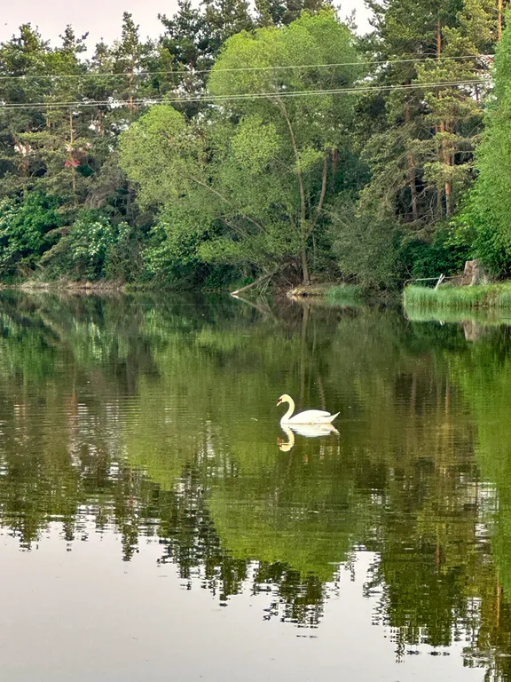 Номер с панорамными окнами и видом на озеро