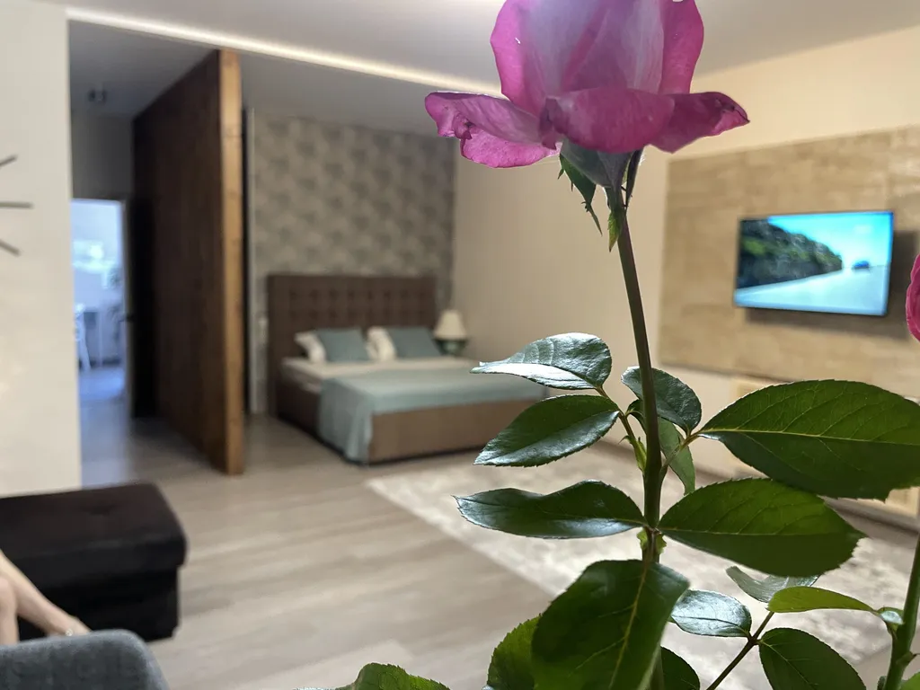 Апаратаменты Аморино