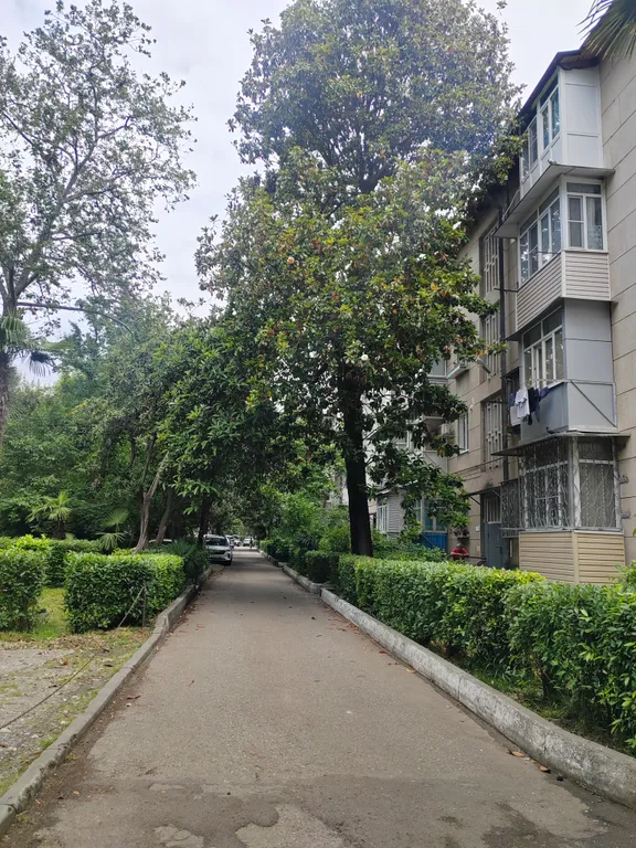 Квартира Уютная квартира в центре города — Сочи