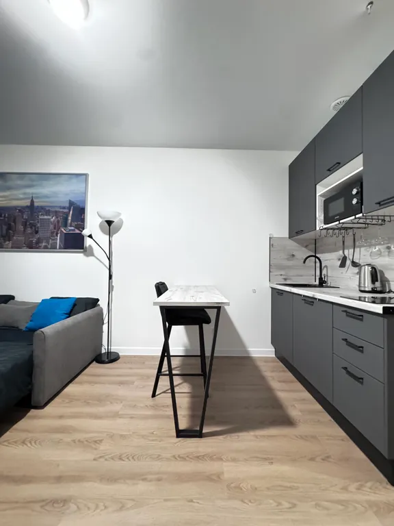 Квартира Квартира Милая студия в новом ЖК Перец — Москва