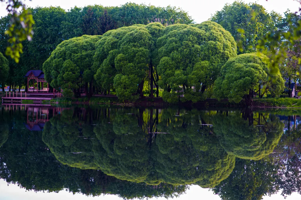 Дом прекрасной Ажурницы, Плес