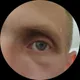 Глеб