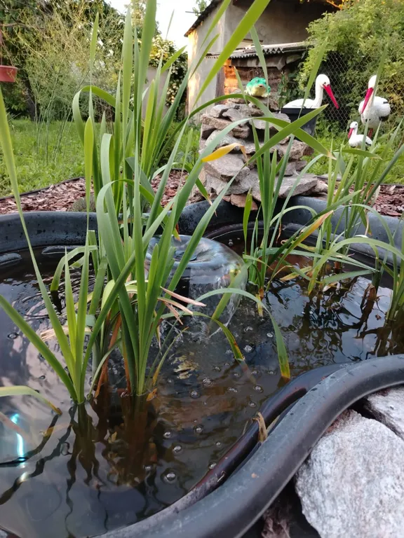 Коттедж Дом в пешей доступности до парка. Дом с банным чаном — Кисловодск