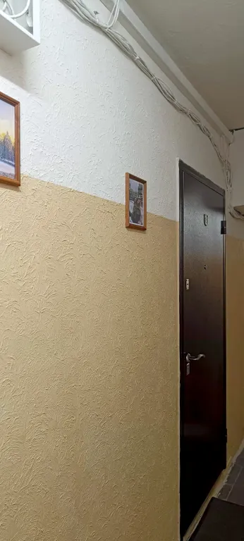 Квартира Квартира Cat's House – ваш личный оазис релаксации в сердце шумного Питера — Санкт-Петербург