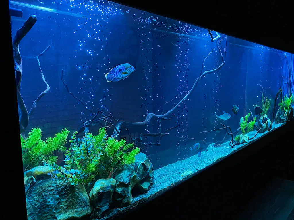 Квартира бизнес класса