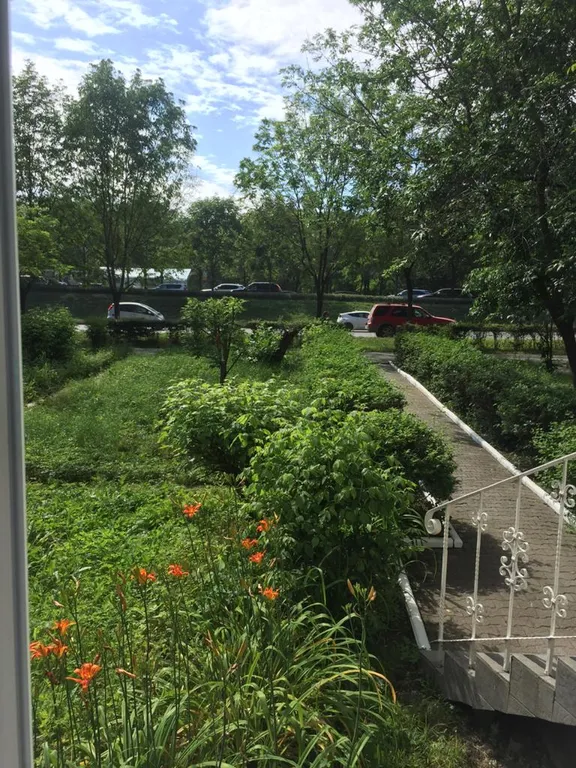 Уютная квартира в хорошем районе