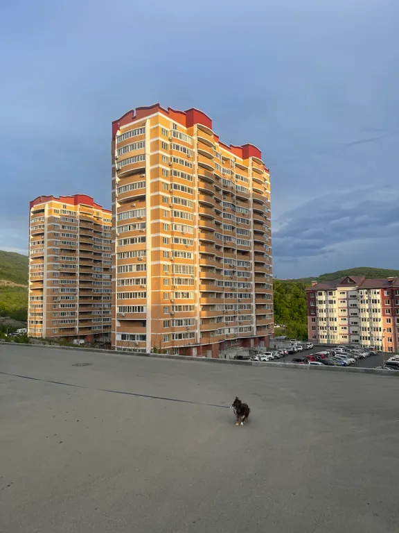 Квартира Квартира Солнечная 2-комн(евро). Мосты, о. Русский, аэропорт — Владивосток