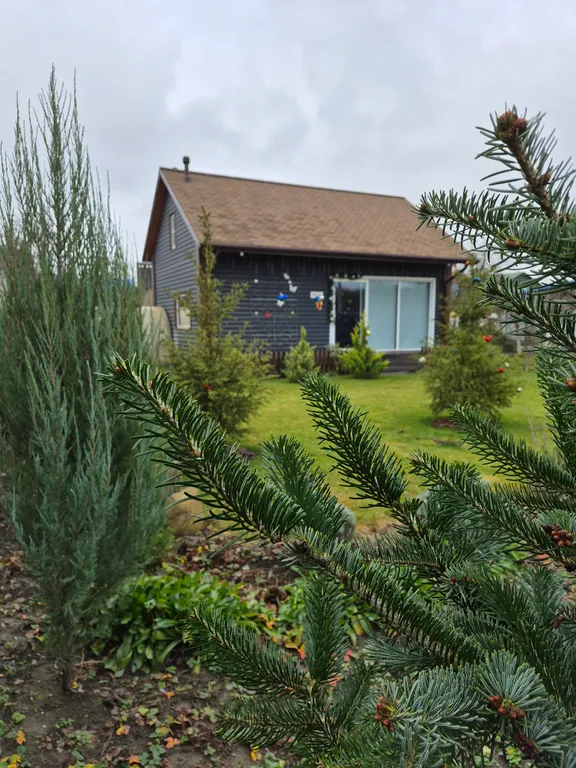 Коттедж FLIGELMUZ (Загородный Музыкальный Флигель). — Северская