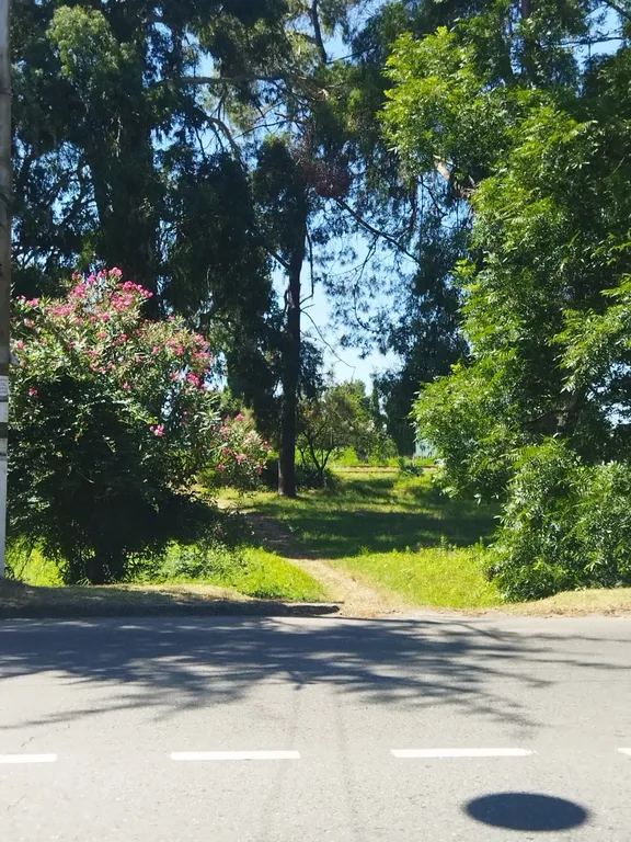 Квартира Квартира на первой береговой линии — Сухум