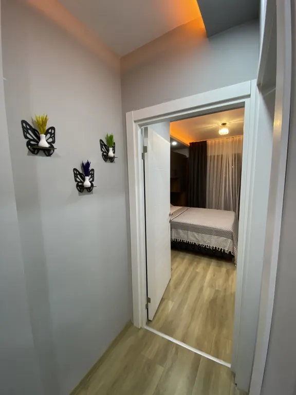 Люкс-апартаменты в центре