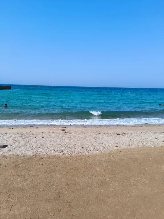 Уютная квартира-студия с видом на море и сад на берегу моря