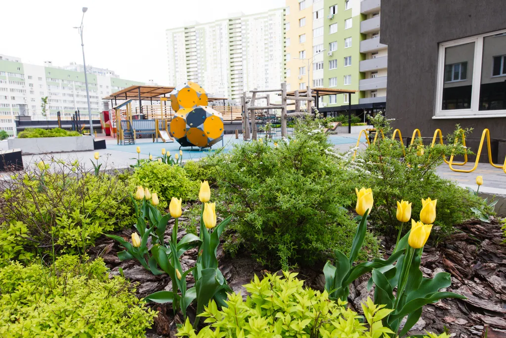 Студия Paikka Valo