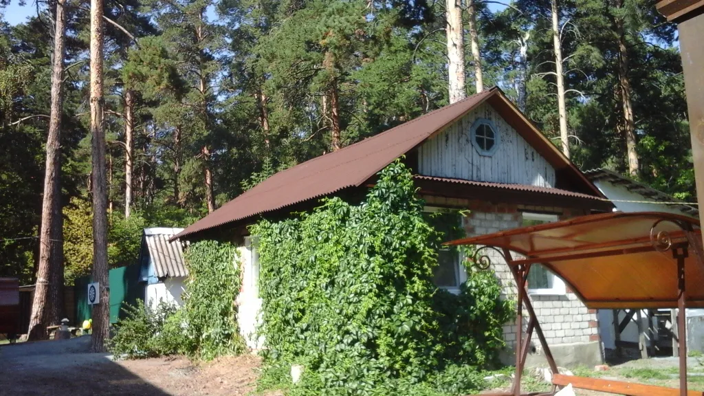Лесная избушка